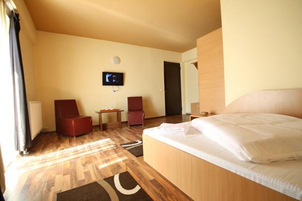 Pensiunea Edy Busteni Room photo